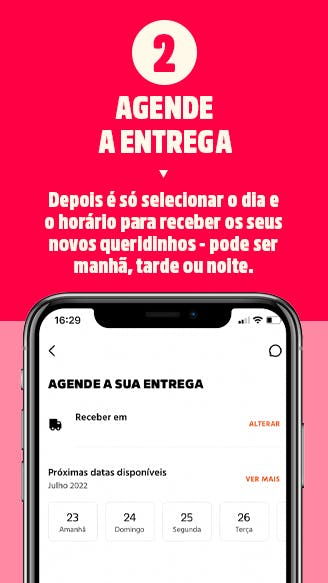 2. Agende sua entrega